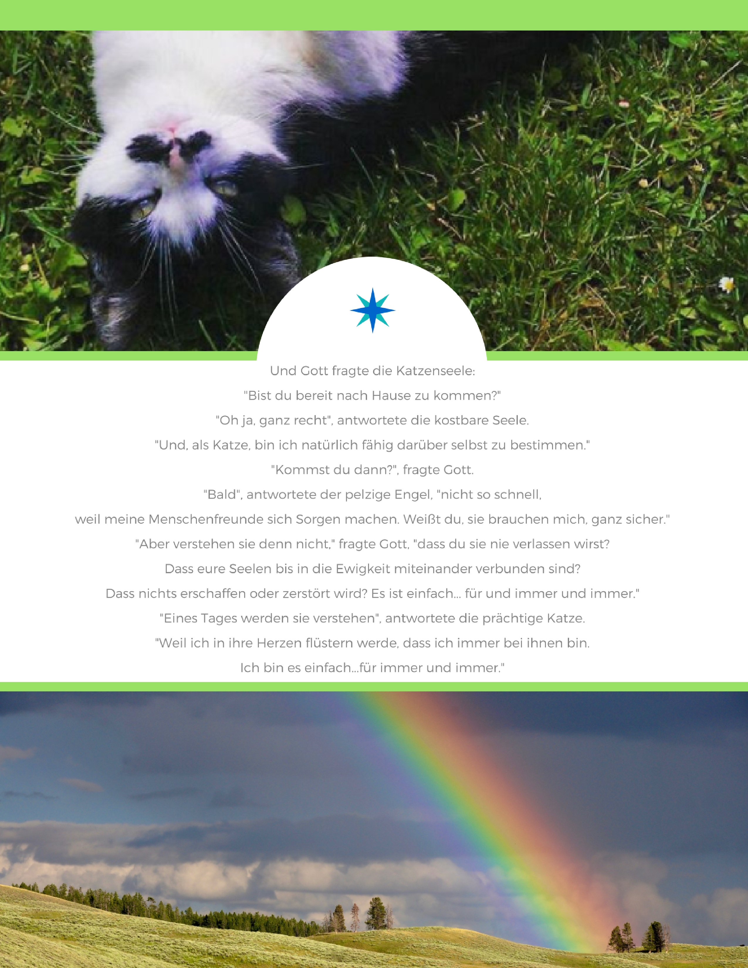 Katze Gebet Himmel